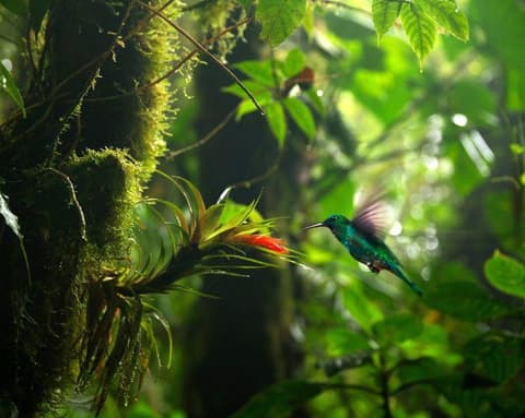 Costa Rica no Fim de Ano