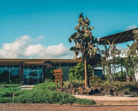 Guayaquil and Galapagos 8 dias 