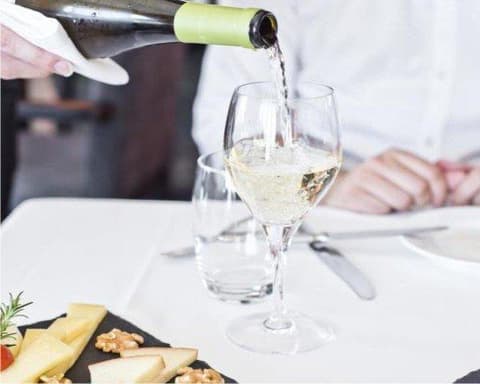 Alojamento Gratuito na Rota do Dão