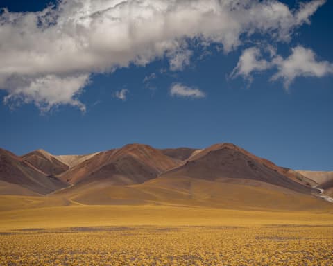 Programa: Catamarca Bella