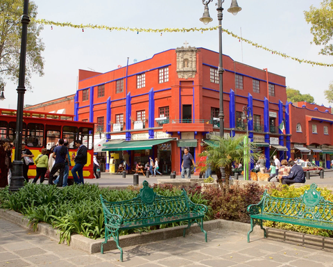 CDMX DE LA MANO DE FRIDA KAHLO