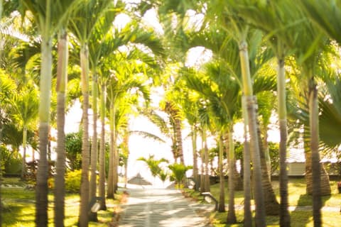 Veranda Palmar Beach Hotel - GATTINONI, Garden