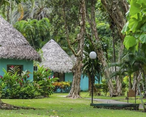 Los Caneyes - JUMP P+US, 