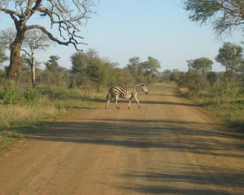 Best of South Africa _Kruger Nationalpark, Kapstadt & Gardenroute -Mittelklasse
