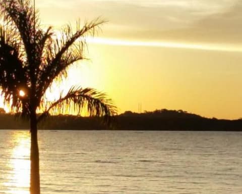 GORILAS Y CHIMPANCES EN UGANDA (Sábado)