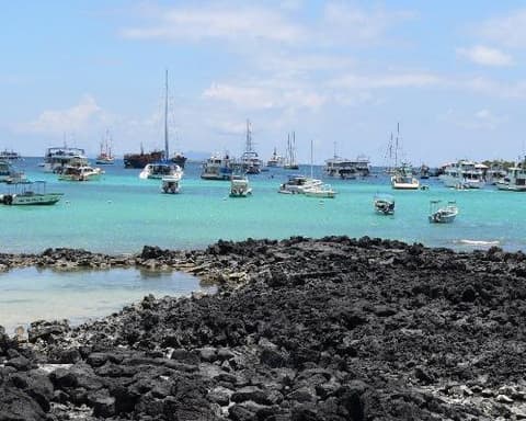 Guayaquil y Galapagos combinado con Santa Cruz 6 dias 