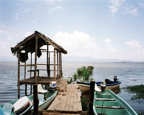 Da Masai Mara Amboseli Tsavo Alla Spiaggia Di Watamu