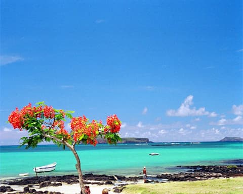 OFERTA Isla Mauricio en Hotel Ambre Resort & Spa