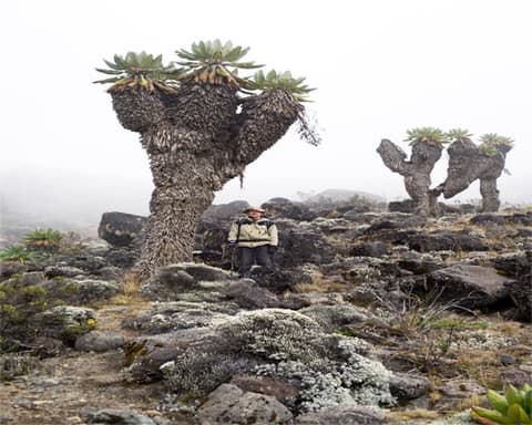 TANZANIA Y ZANZIBAR 2025