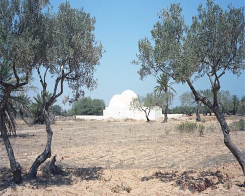 250266 - Tunísia | Djerba | Verão 2026 | Voos do Porto