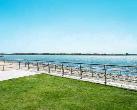 Delicias de Arabia Saudí (Del día 6-8)