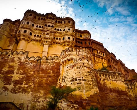 Terre des Maharajahs- Program Exclusif - TN1