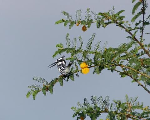 1 Night in Entebbe Extension