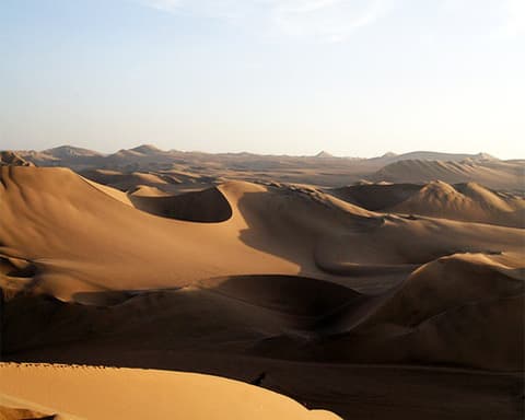 Ica y Paracas Entre el Sol y las Brisas 02 Días / 01 Noche