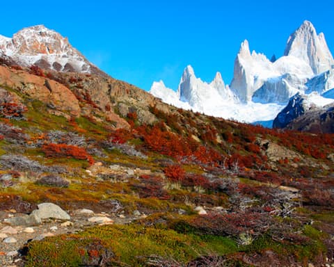 BUENOS AIRES - CALAFATE