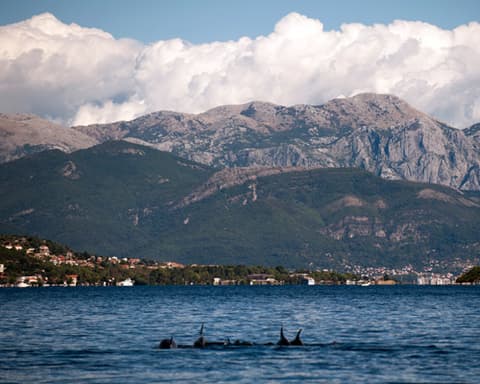 14 noches Sudamerica. Patagonia & Fiordos 