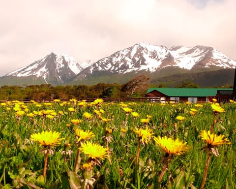 USHUAIA   4 DAYS / 3 NIGHTS