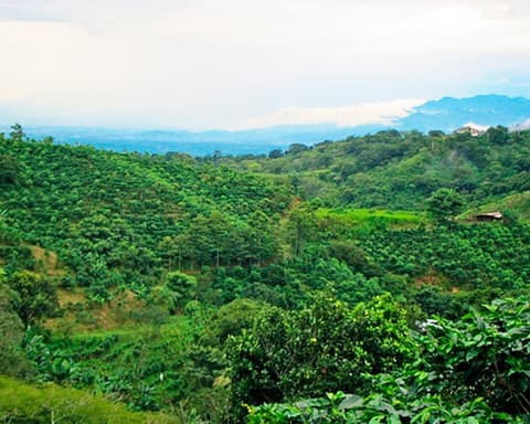 Aventura en Costa Rica