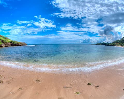 AROMAS DEL CIBAO Y LA COSTA