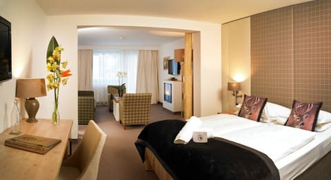 Das Alpenhaus Kaprun, Room