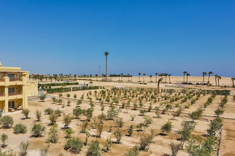 Sheraton Soma Bay Resort, Room