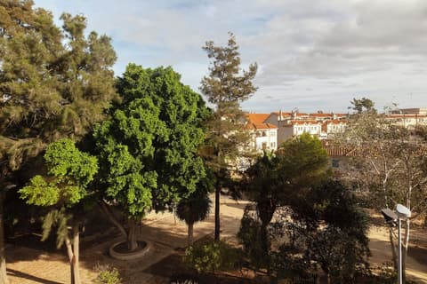 Macià Doñana, View from room