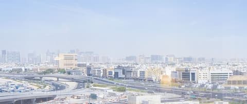 Hyatt Regency Dubai, View from room