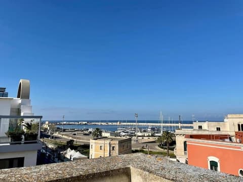 Palazzo Mongiò, Room