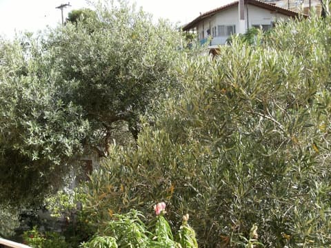 Katerina Hotel, Property grounds