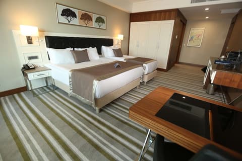 Radisson Blu Hotel Diyarbakir, Room