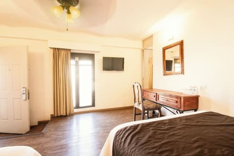 Hotel Argento Zacatecas, Room