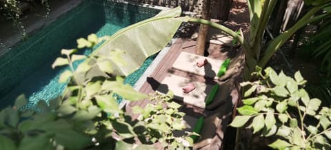 Sarina Boutique Hotel, Pool