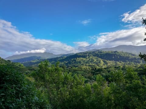 Ecohabs Bosques del Tayrona, Mountain view