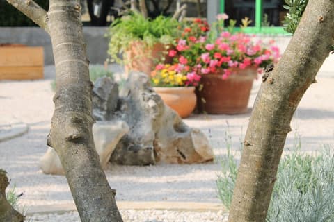 Villa Mandolina Apartments, View from room