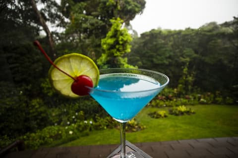 Trapp Family Lodge, Bar (on property)