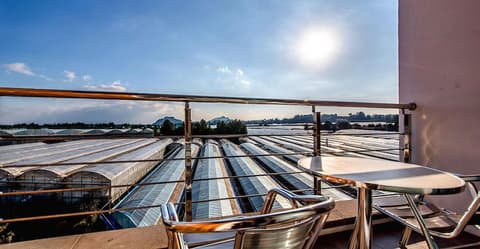 Seogwipo Dorami Pension, Room