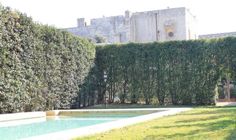 Chiostro dei Domenicani, Pool