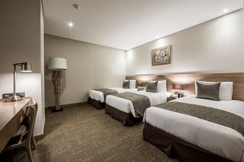 Golden Seoul Hotel, Room