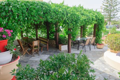 Alkion Hotel, Courtyard