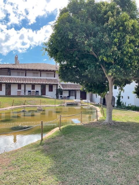 Binivell Park -Caliu Apartments, Garden