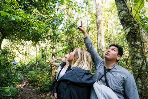 Real Peru to Bolivia