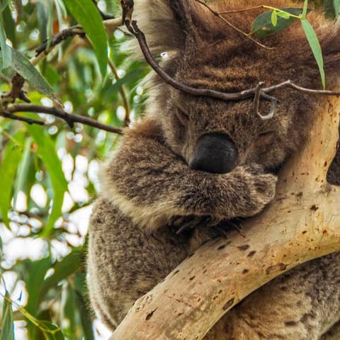 Highlights of Australia and New Zealand