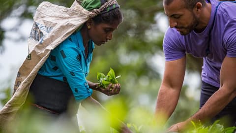 Journeys: Discover Sri Lanka
