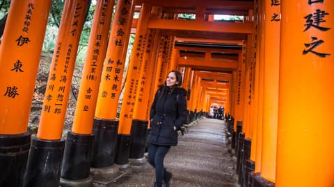 Epic Japan: Speed Trains & Street Food