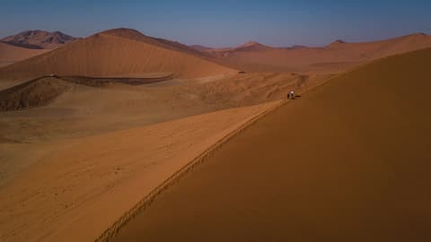 Cape & Dunes Northbound: Wildlife & Starry Night Skies