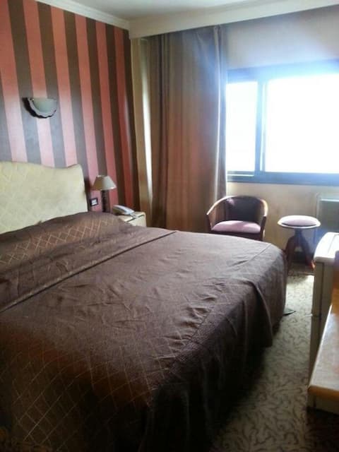 Oasis Hotel Heliopolis, 