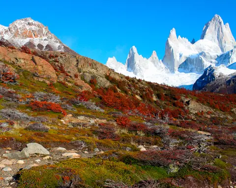 BUENOS AIRES - CALAFATE