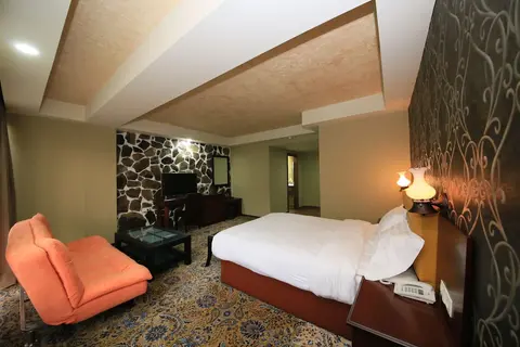 Borjomi Palace, Room