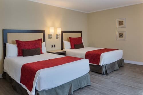 Exe Alameda Reforma, 