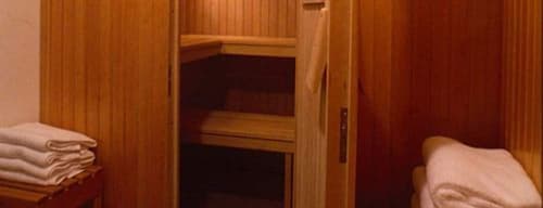 Albergo Terminus Hotel, Sauna